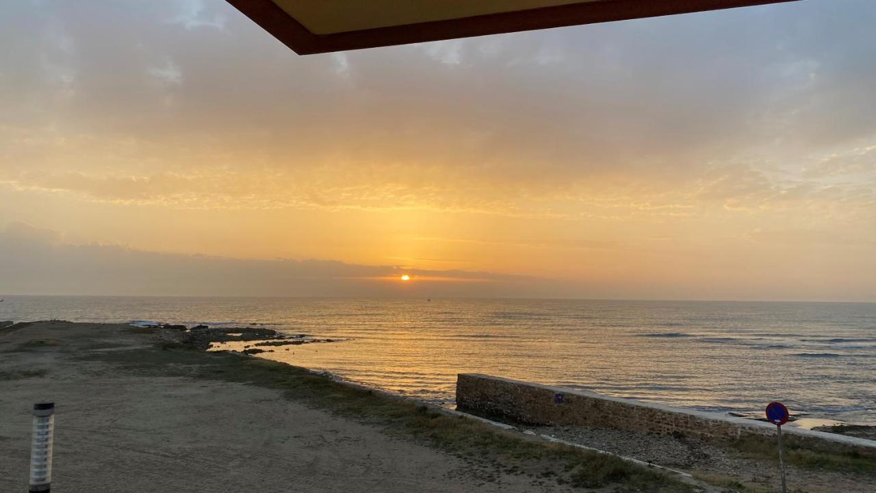 Beachfront Apartment - La Mata تورّيفيِخا المظهر الخارجي الصورة